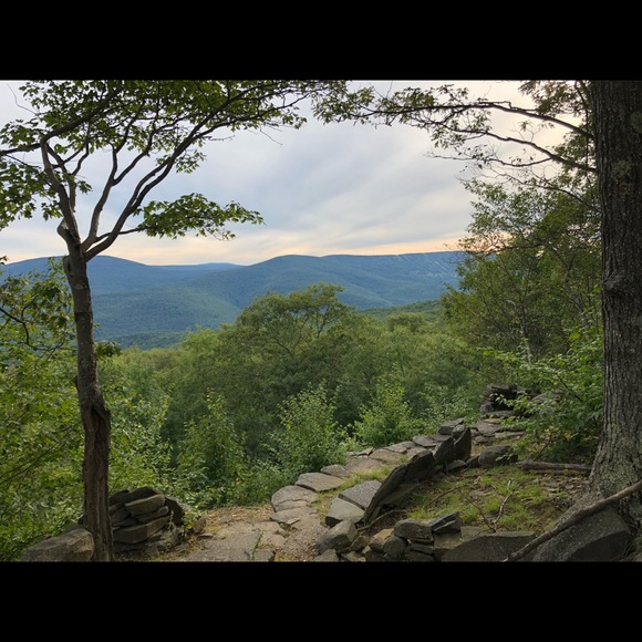 Meet your Posher, Shauna - Picture 1 of 1